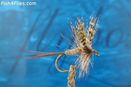 American March Brown Fly - Fishing Flies with Fish4Flies Worldwide